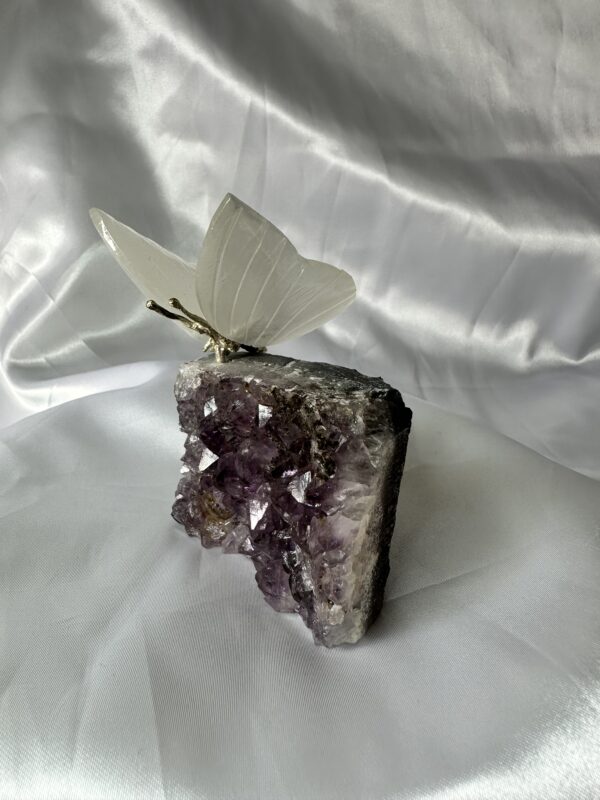 Selenite Butterfly on Amethyst
