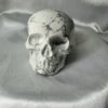 Howlite Skull A