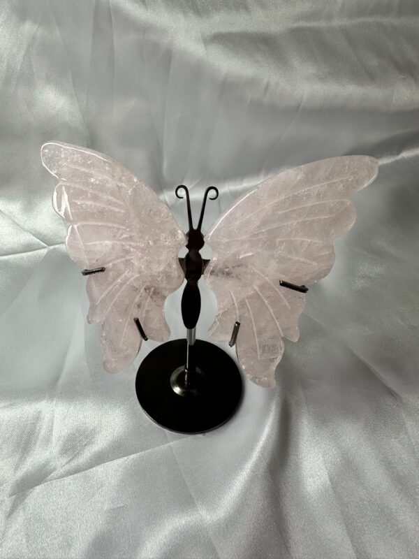 Rose Quartz Butterfly Wings On Stand