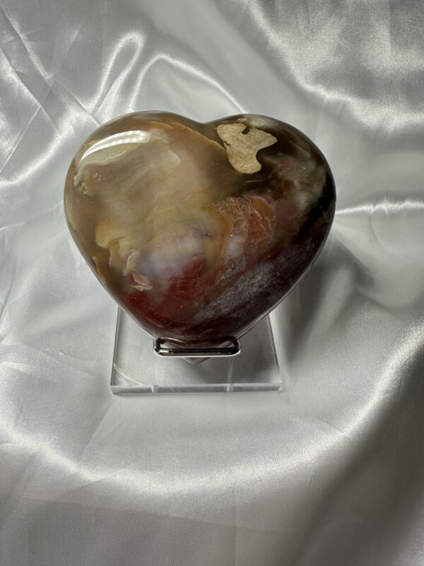 Petrified Wood Heart