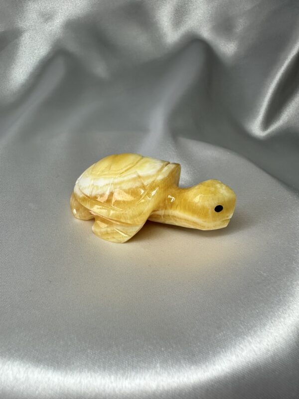 Argentinian Orange Calcite Turtle A