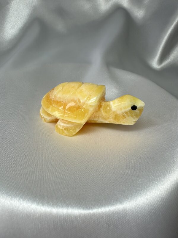 Argentinian Orange Calcite Turtle B