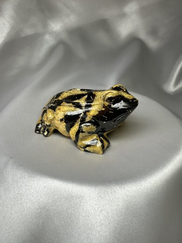 Picture Jasper Frog A