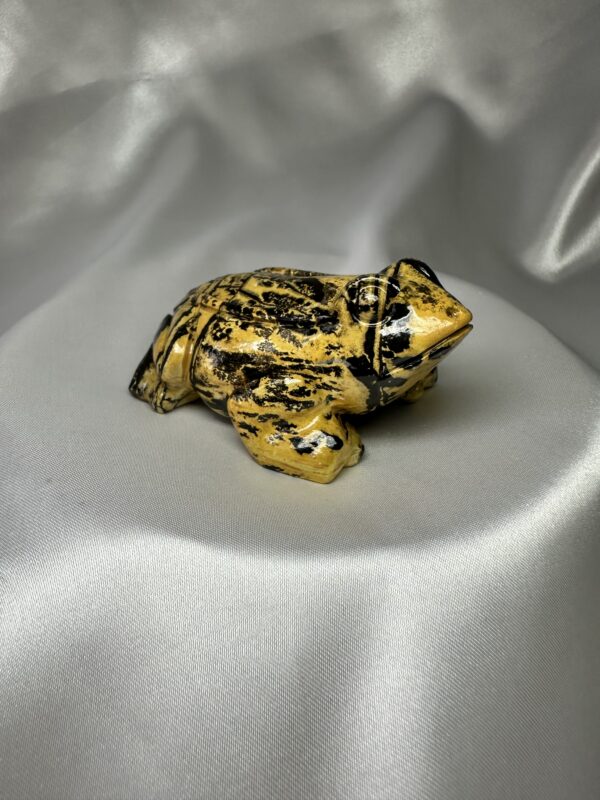 Picture Jasper Frog B