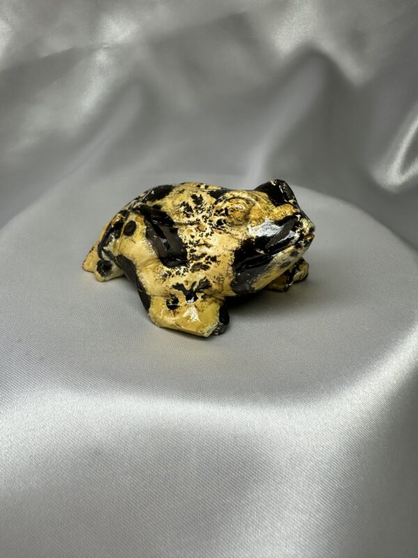 Picture Jasper Frog C