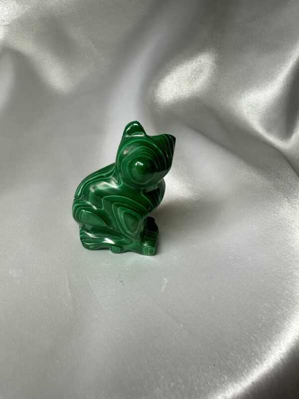 Malachite Cat A
