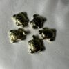 Pyrite Turtles